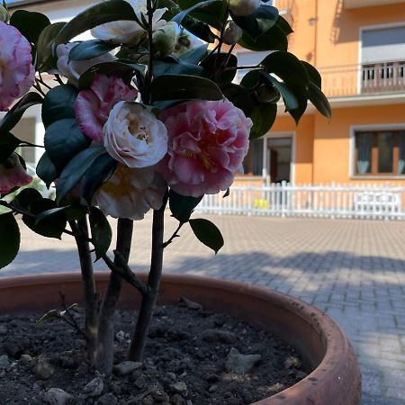 Ca Del Fili Villa Лено Екстериор снимка