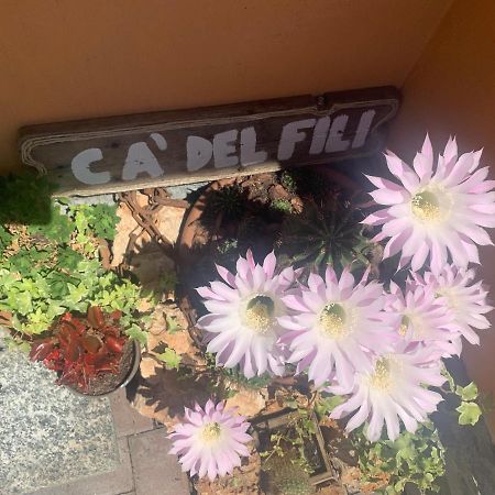Ca Del Fili Villa Лено Екстериор снимка