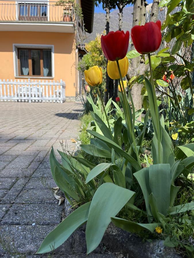 Ca Del Fili Villa Лено Екстериор снимка