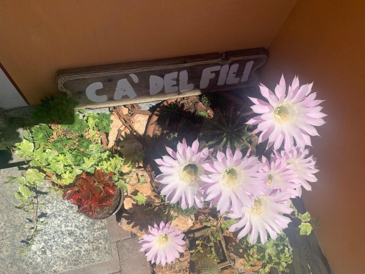 Ca Del Fili Villa Лено Екстериор снимка