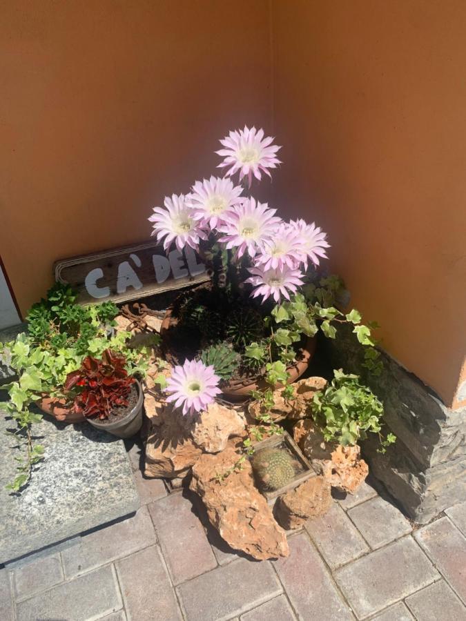 Ca Del Fili Villa Лено Екстериор снимка